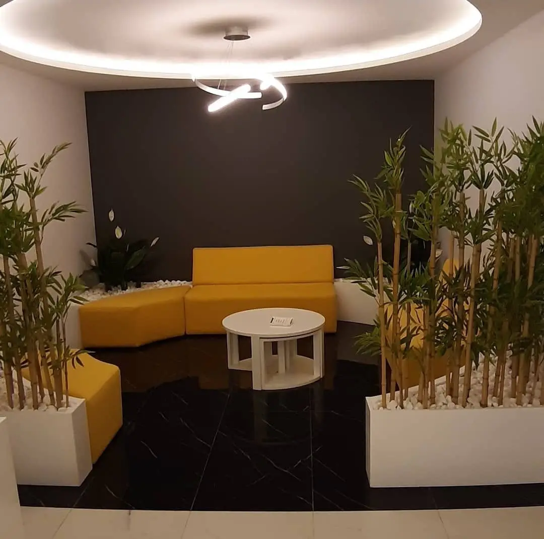 About the studio